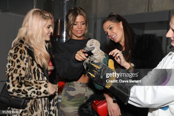 Ashley James, Chloe Lewis and Danielle Lloyd attend the launch of Dinosaurs in the Wild at Greenwich Peninsula on February 13, 2018 in London,...