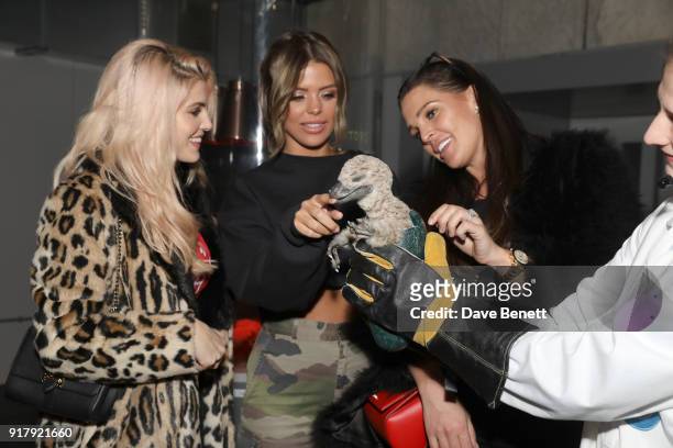 Ashley James, Chloe Lewis and Danielle Lloyd attend the launch of Dinosaurs in the Wild at Greenwich Peninsula on February 13, 2018 in London,...