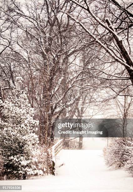 winter snow trail - burlington ontario bildbanksfoton och bilder