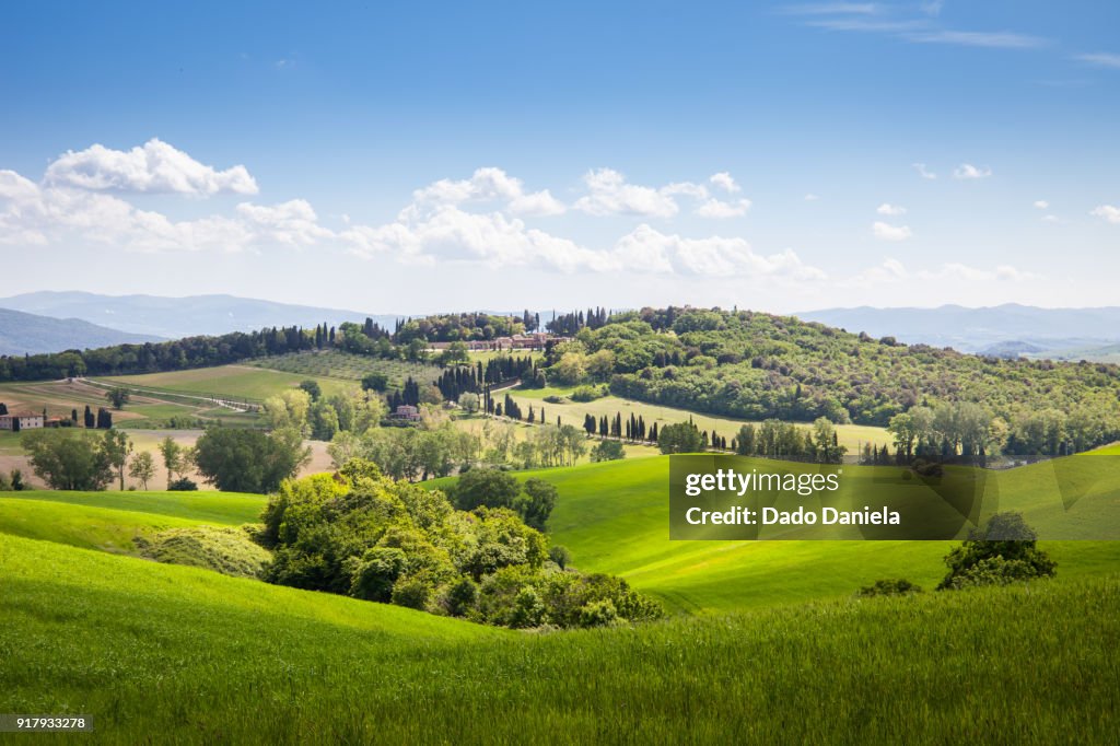 Green Landscape