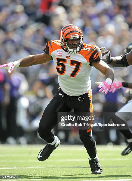 Dhani Jones of the Cincinnati Bengals defends against the Baltimore Ravens at M&T Bank Stadium on October 11, 2009 in Baltimore, Maryland. The...