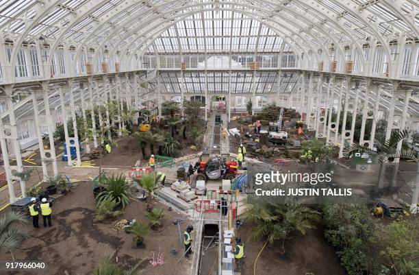 Work progresses inside the Temperate House, the largest surviving Victorian glasshouse in the world, during the final months of a five-year...