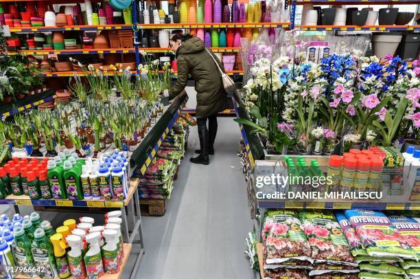 Woman looking at flowers is pictured inside a household appliance store in Bucharest, Romania, on February 9, 2018. Romania has record economic...