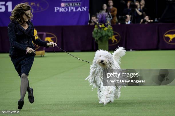 Komondor competes in the working group on the final night of the 142nd Westminster Kennel Club Dog Show at The Piers on February 13, 2018 in New York...