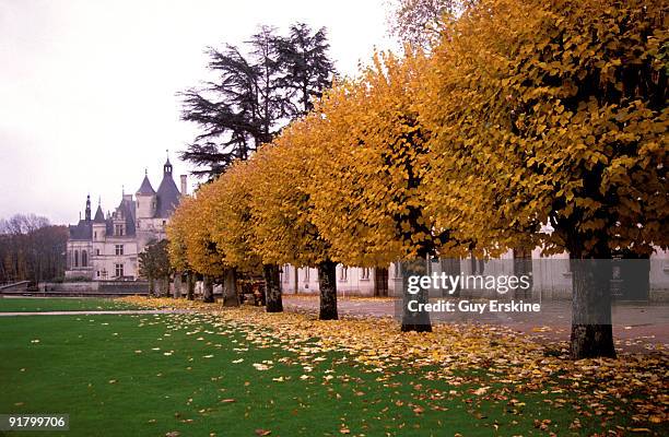 castle of chenonceaux in autumn, loandmark, france - chenonceau stock pictures, royalty-free photos & images