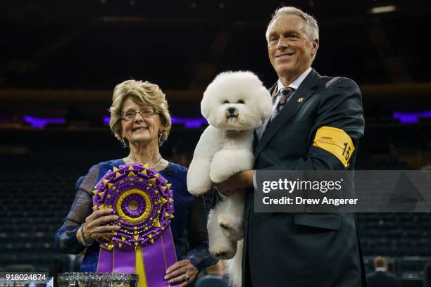 Best in Show winner Flynn, a Bichon Frise, poses for photos with handler Bill McFadden and judge Betty-Anne Stenmark at the conclusion of the 142nd...