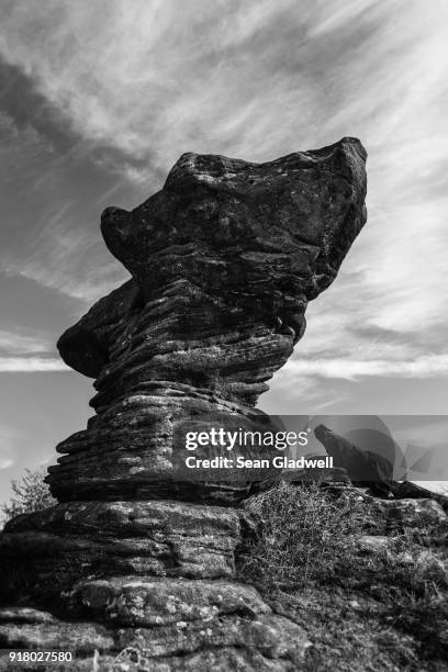 rising rock - brimham rocks stock pictures, royalty-free photos & images