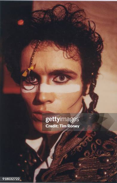 Adam Ant Insect 1,790 Adam Ant Photos & High Res Pictures - Getty Images
