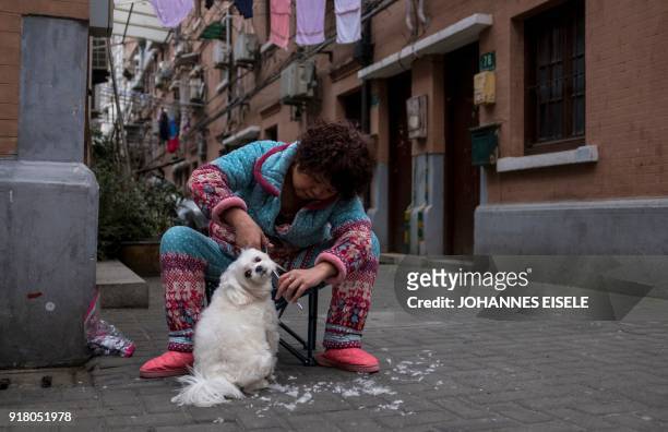 Woman trims the hair of her dog Niuniu along a street in Shanghai on February 14, 2018 ahead of the Lunar New Year. - The Lunar New Year will be...