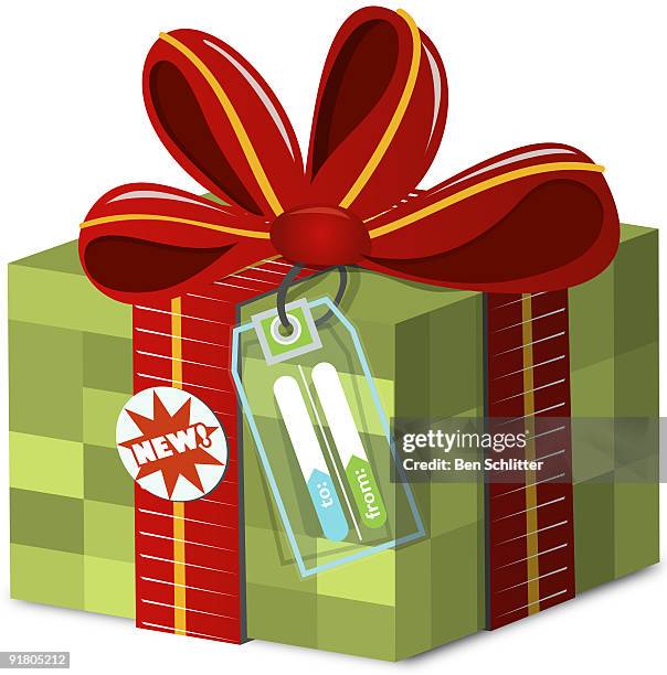 stockillustraties, clipart, cartoons en iconen met a checkered gift box with a to and from tag - gift box tag