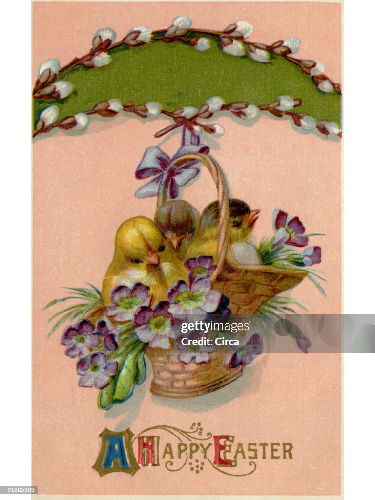 A vintage Easter postcard of a basket full of chicks and violets hanging from a pussy willow branch