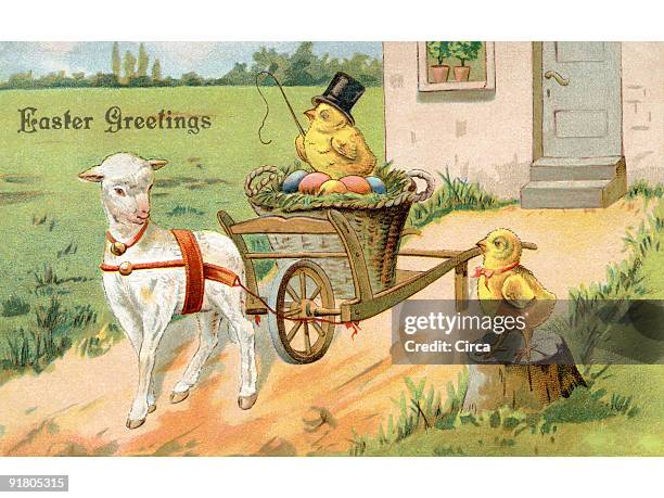 a vintage easter postcard of a chick riding on an easter wagon pulled by a lamb - day old chicks stock illustrations