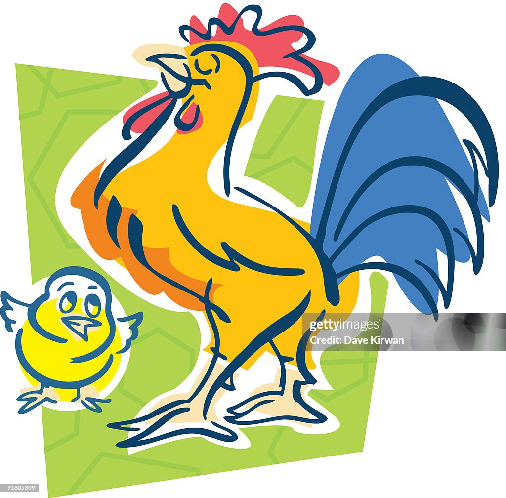 A rooster and a chick