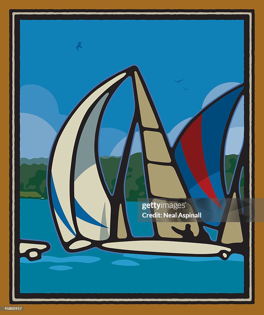 Sailboats in the water