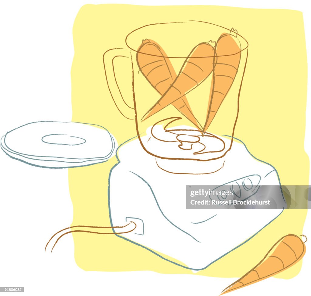 Carrots in a blender