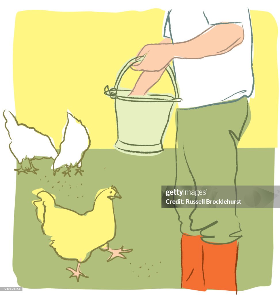 A farmer feeding chickens