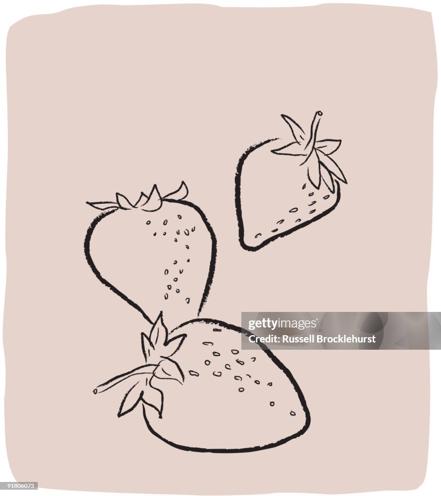 A textured line drawing of strawberries