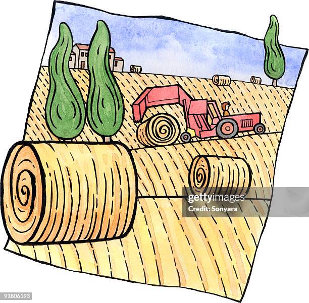 a tractor rolling bales of hay in the field - rolling landscape stock-grafiken, -clipart, -cartoons und -symbole