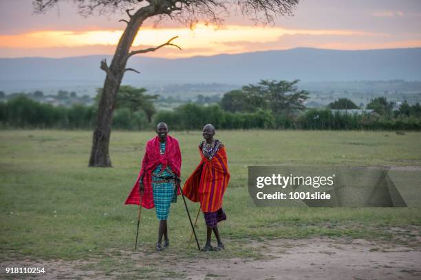 guerreros masai africanas al amanecer - guerreros masai fotografías e imágenes de stock