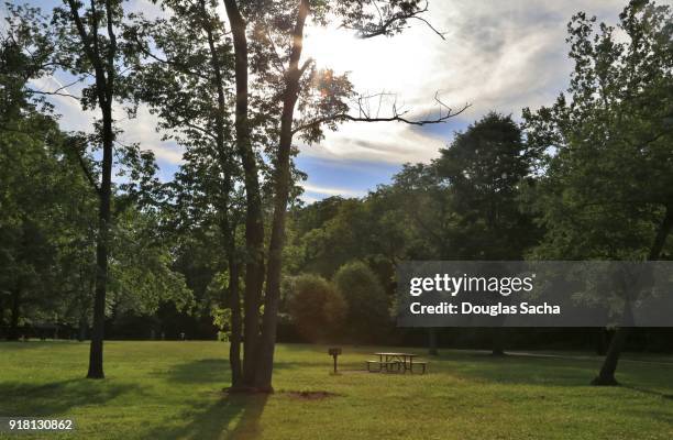 picnic area in a rural city park - clearing in woods stock-fotos und bilder