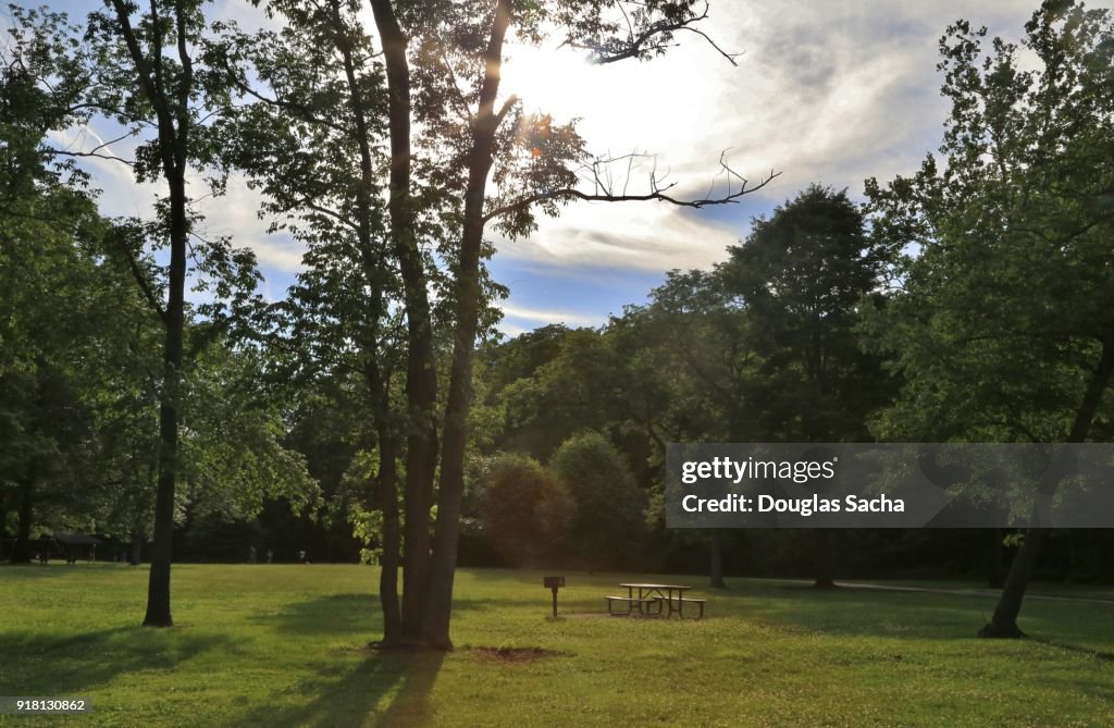 Picnic area in a rural city park