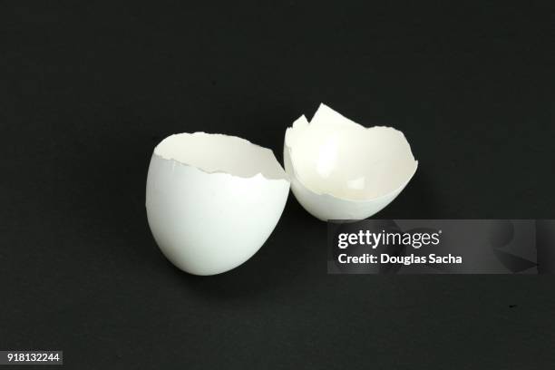 eggs shell on a black background - eggshell stock pictures, royalty-free photos & images
