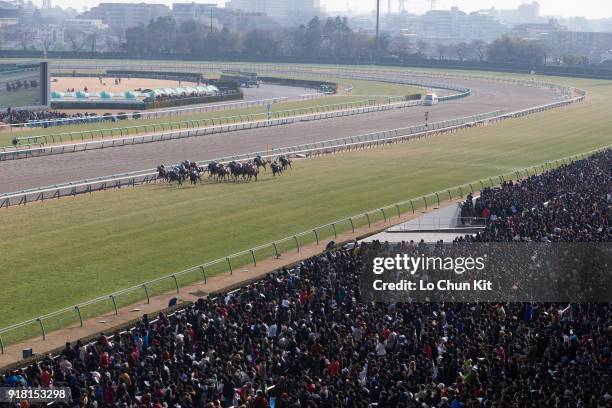 Jockeys compete the Race 7 Goodluck Handicap. General view of the main stand at Nakayama Racecourse on December 28, 2014 in Funabashi, Chiba, Japan....