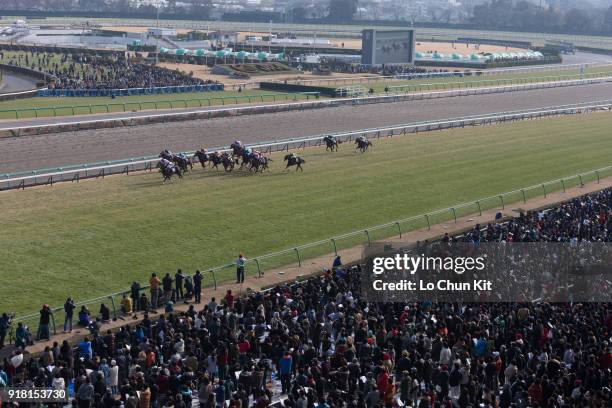 Jockeys compete the Race 7 Goodluck Handicap. General view of the main stand at Nakayama Racecourse on December 28, 2014 in Funabashi, Chiba, Japan....