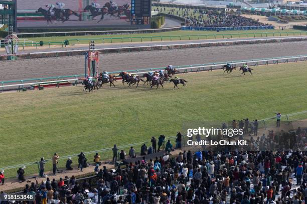 Jockeys compete the Race 7 Goodluck Handicap. General view of the main stand at Nakayama Racecourse on December 28, 2014 in Funabashi, Chiba, Japan....