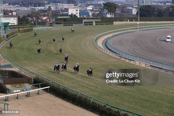 Horses and jockeys finished the Race 7 Goodluck Handicap at Nakayama Racecourse on December 28, 2014 in Funabashi, Chiba, Japan.