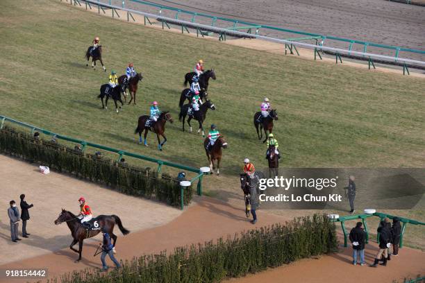 Horses and jockeys finished the Race 7 Goodluck Handicap at Nakayama Racecourse on December 28, 2014 in Funabashi, Chiba, Japan.