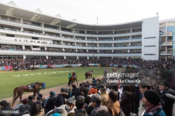 Horses are paraded around the paddock prior to a race at the Nakayama Racecourse on December 28, 2014 in Funabashi, Chiba, Japan. More than 115,000...