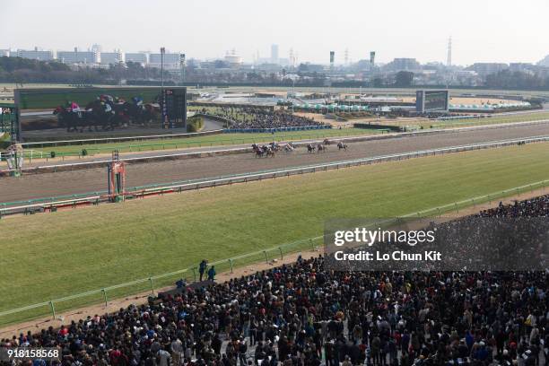 Jockeys compete the Race 8 Farewell Stakes at Nakayama Racecourse on December 28, 2014 in Funabashi, Chiba, Japan. More than 115,000 people attend...