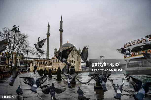 Pigeons are seen at Ortakoy district on February 14, 2018 on a rainy day in Istanbul.