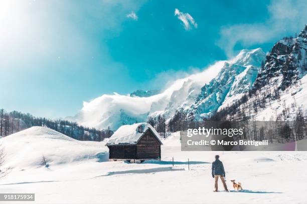 man with dog at the leash in winter alps. - chalé fotografías e imágenes de stock