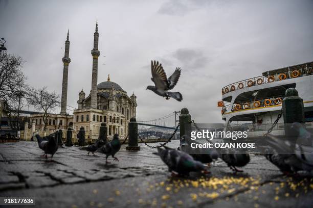 Pigeons are seen at Ortakoy district on February 14, 2018 on a rainy day in Istanbul.