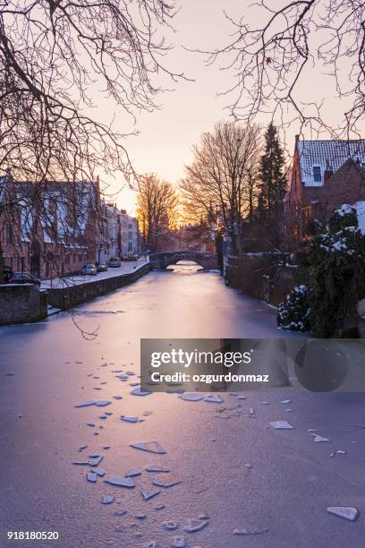 canal scene in bruges, belgium - bruges belgium imagens e fotografias de stock