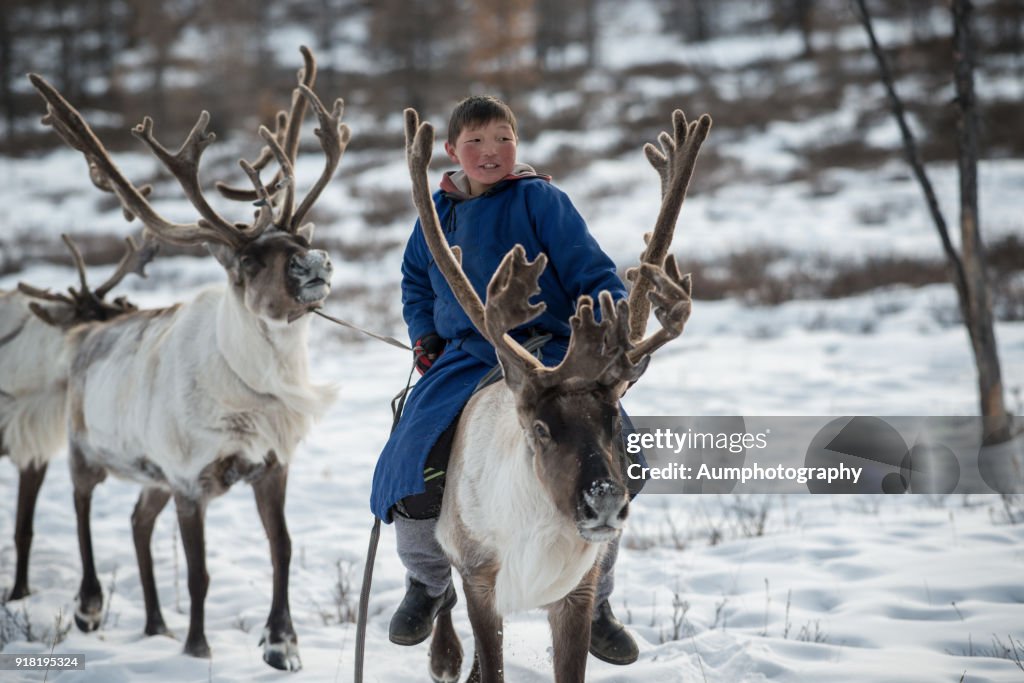 Reindeer Riding