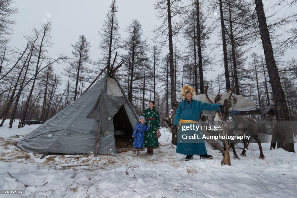 Tsaatan Reindeer People, Mongolia