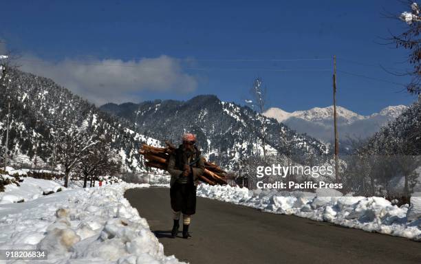 An elderly Kashmiri carries firewood on his shoulders with Surrounding snow Mountains near Daksum, about 97 kilometers south of Srinagar city, the...