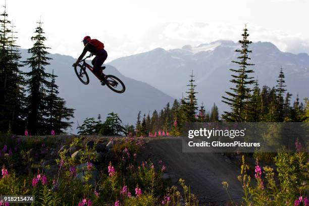mountain bike jump canada - whistler mountain stockfoto's en -beelden