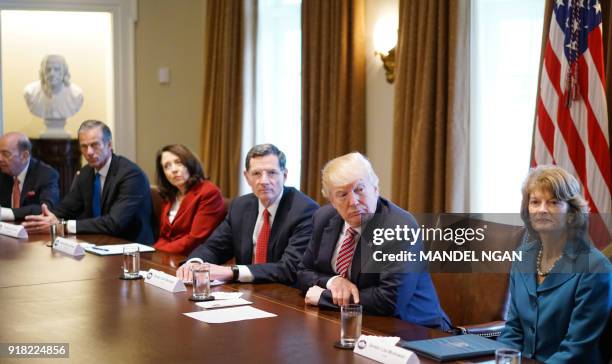 President Donald Trump takes part in a meeting with bipartisan members of Congress on infrastructure in the Cabinet Room of the White House on...