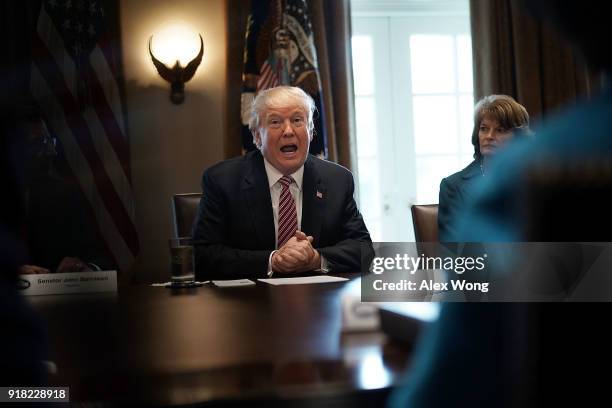 President Donald Trump speaks as Sen. Lisa Murkowski looks on during a meeting with congressional members at the Cabinet Room of the White House...