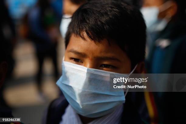 Nepalese youth and students demonstrate as they participate in campaign Maskmandu against the increasing air pollution in Kathmandu, Nepal, February...