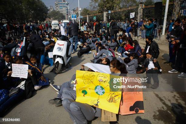 Nepalese youth and students demonstrate as they participate in campaign Maskmandu against the increasing air pollution in Kathmandu, Nepal, February...