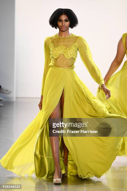 Model walks the runway for Leanne Marshall during New York Fashion Week: The Shows at Gallery II at Spring Studios on February 14, 2018 in New York...