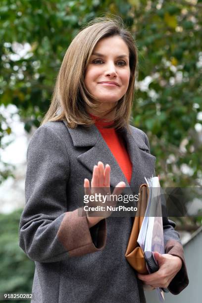 Queen Letizia of Spain arrives to attend a meeting at FEDER on February 14, 2018 in Madrid, Spain.