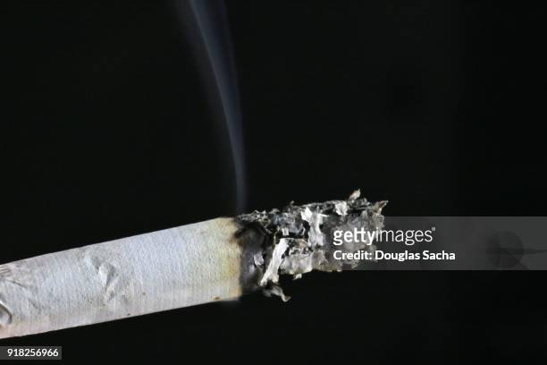 burning cigarette - menthol stock pictures, royalty-free photos & images