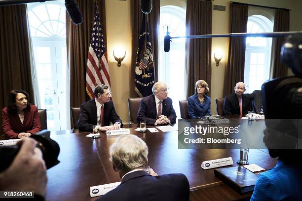 President Donald Trump, center, speaks during a meeting with bipartisan members of congress in the Cabinet Room of the White House in Washington,...