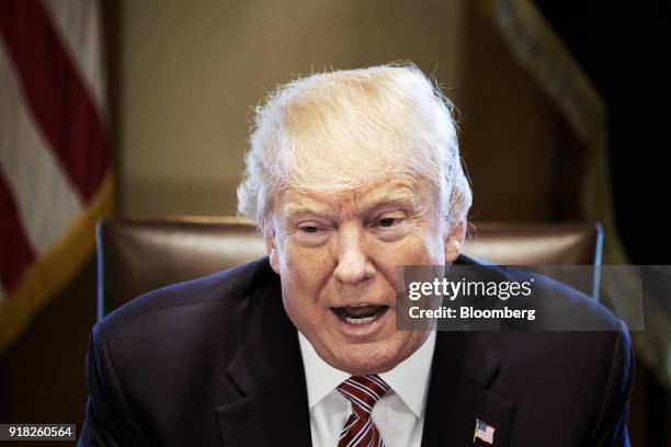 President Donald Trump speaks during a meeting with bipartisan members of congress in the Cabinet Room of the White House in Washington, D.C., U.S....